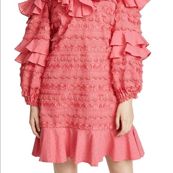 Alexis Calypso Dress    - Picture 11 of 11